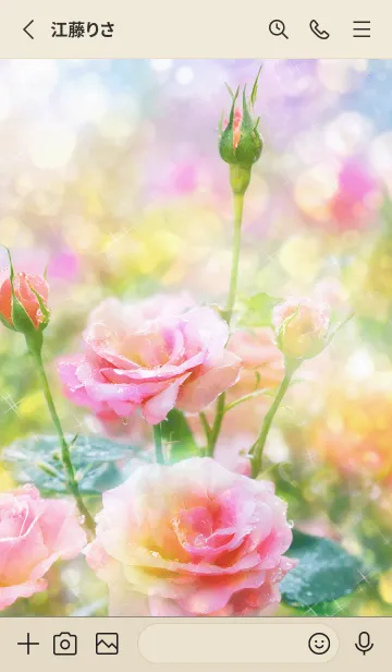 [LINE着せ替え] 薔薇(バラ)の花の着せかえ(R1836)の画像2