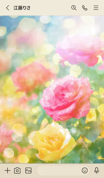 [LINE着せ替え] 薔薇(バラ)の花の着せかえ(R1866)の画像2