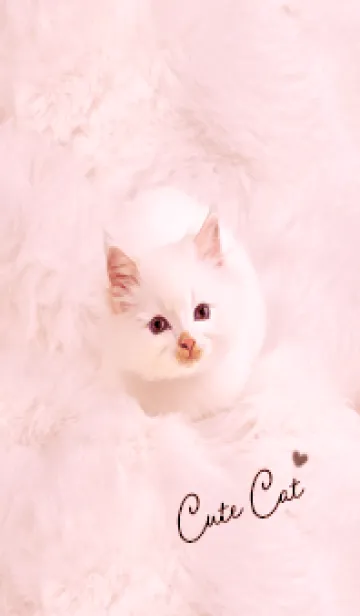 [LINE着せ替え] pink♡ふわふわな猫08_1の画像1