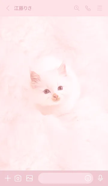 [LINE着せ替え] pink♡ふわふわな猫08_1の画像2