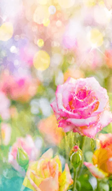 [LINE着せ替え] 薔薇(バラ)の花の着せかえ(R1873)の画像1