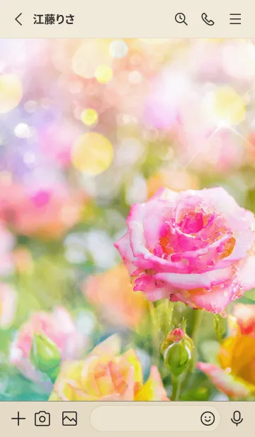 [LINE着せ替え] 薔薇(バラ)の花の着せかえ(R1873)の画像2