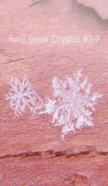 [LINE着せ替え] Real Snow Crystal #3-9の画像1