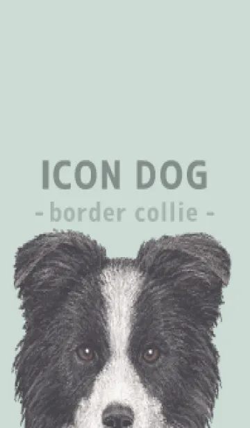[LINE着せ替え] ICON DOG - ボーダーコリー - PASTEL GR/05の画像1