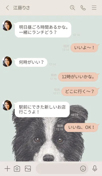 [LINE着せ替え] ICON DOG - ボーダーコリー - PASTEL GR/05の画像3