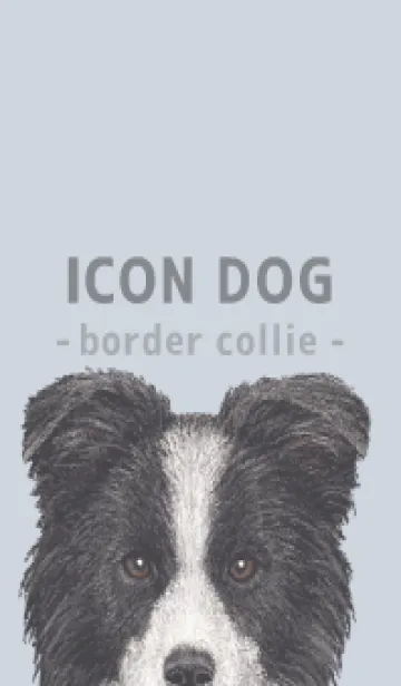 [LINE着せ替え] ICON DOG - ボーダーコリー - PASTEL BL/05の画像1