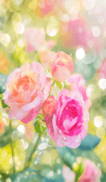 [LINE着せ替え] 薔薇(バラ)の花の着せかえ(R1878)の画像1