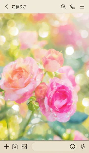 [LINE着せ替え] 薔薇(バラ)の花の着せかえ(R1878)の画像2