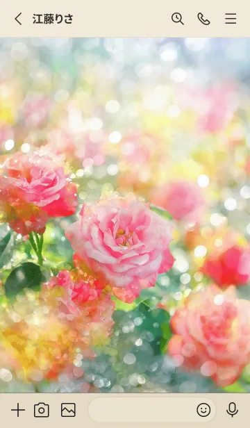 [LINE着せ替え] 薔薇(バラ)の花の着せかえ(R1888)の画像2