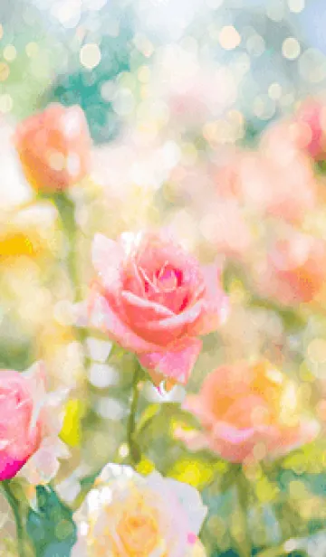 [LINE着せ替え] 薔薇(バラ)の花の着せかえ(R1890)の画像1