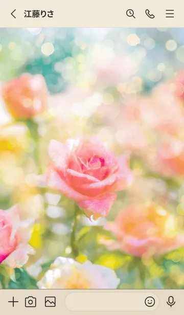 [LINE着せ替え] 薔薇(バラ)の花の着せかえ(R1891)の画像2