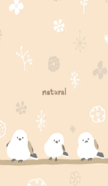 [LINE着せ替え] シマエナガ 冬模様13の画像1