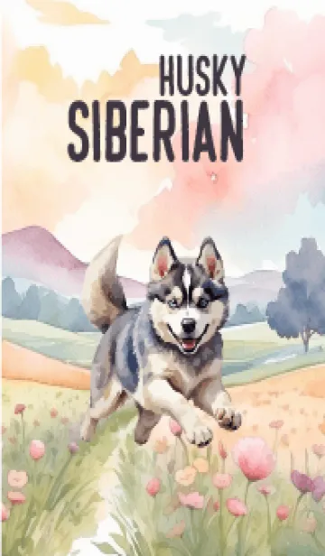 [LINE着せ替え] siberian husky In Flower Theme 2 (JP)の画像1