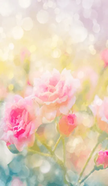 [LINE着せ替え] 薔薇(バラ)の花の着せかえ(R1910)の画像1