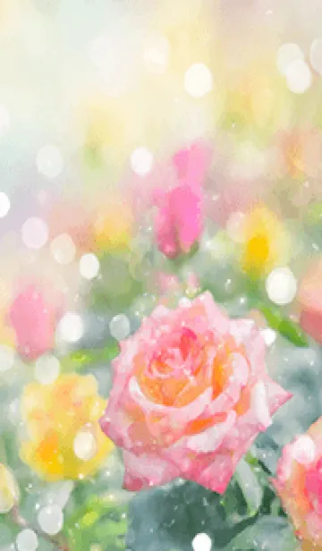 [LINE着せ替え] 薔薇(バラ)の花の着せかえ(R1908)の画像1