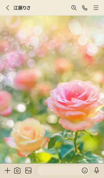 [LINE着せ替え] 薔薇(バラ)の花の着せかえ(R1907)の画像2