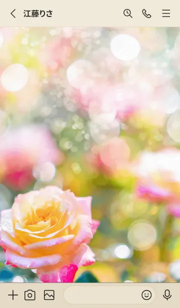 [LINE着せ替え] 薔薇(バラ)の花の着せかえ(R1904)の画像2