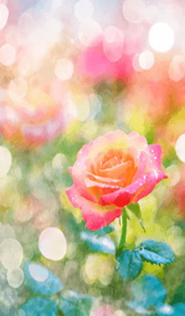 [LINE着せ替え] 薔薇(バラ)の花の着せかえ(R1913)の画像1