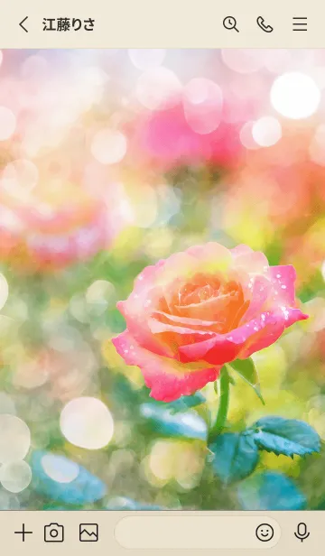 [LINE着せ替え] 薔薇(バラ)の花の着せかえ(R1913)の画像2