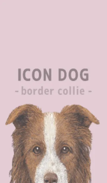 ICON DOG - ボーダーコリー - PASTEL PK/06の着せ替えメイン画像