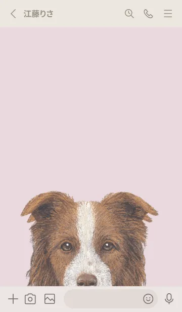 [LINE着せ替え] ICON DOG - ボーダーコリー - PASTEL PK/06の画像2
