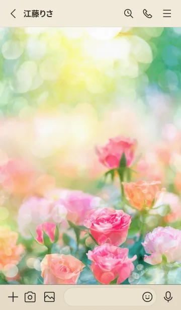 [LINE着せ替え] 薔薇(バラ)の花の着せかえ(R1934)の画像2