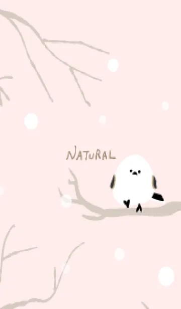 [LINE着せ替え] シマエナガ 雪の画像1