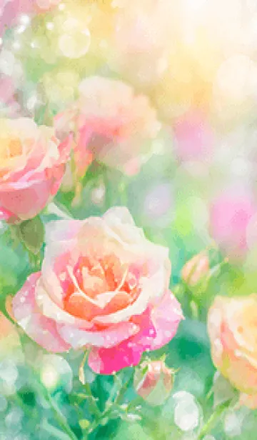 [LINE着せ替え] 薔薇(バラ)の花の着せかえ(R1945)の画像1