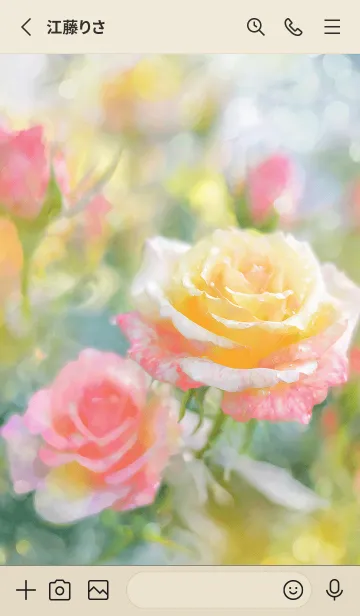 [LINE着せ替え] 薔薇(バラ)の花の着せかえ(R1942)の画像2