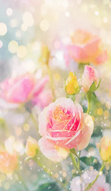 [LINE着せ替え] 薔薇(バラ)の花の着せかえ(R1966)の画像1