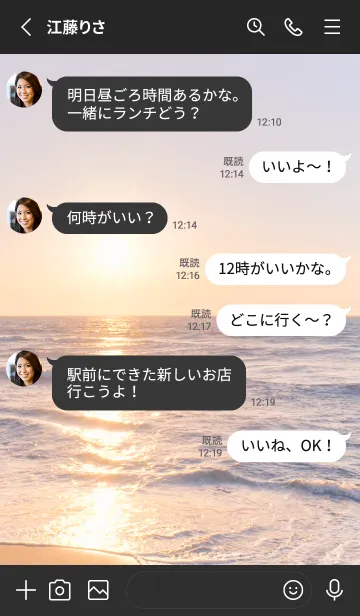 [LINE着せ替え] CalmReflection 29の画像3