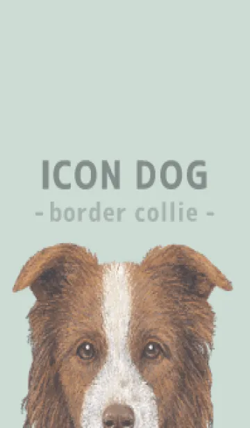 [LINE着せ替え] ICON DOG - ボーダーコリー - PASTEL GR/06の画像1