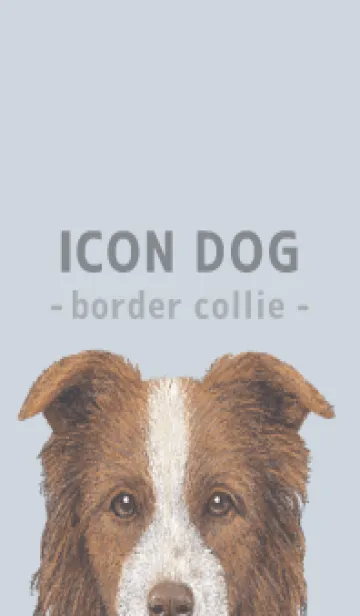 [LINE着せ替え] ICON DOG - ボーダーコリー - PASTEL BL/06の画像1