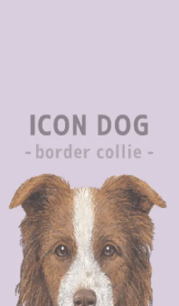 [LINE着せ替え] ICON DOG - ボーダーコリー - PASTEL PL/06の画像1