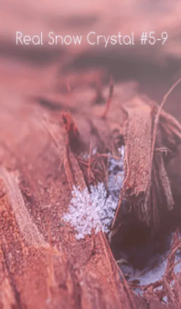Real Snow Crystal #5-9の着せ替えメイン画像