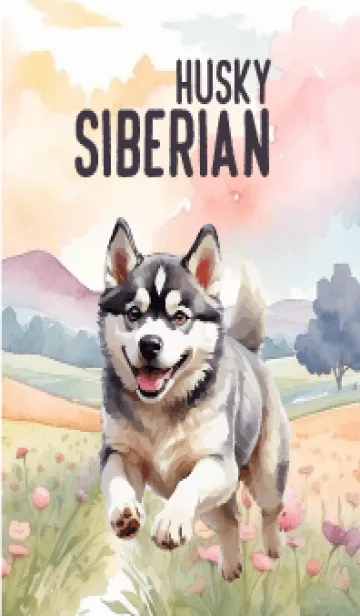 siberian husky In Flower Theme 3 (JP)の着せ替えメイン画像