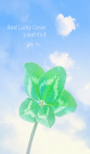 [LINE着せ替え] 本物ラッキークローバー 5-leaf #3-8の画像1