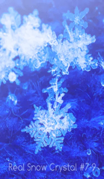 [LINE着せ替え] Real Snow Crystal #7-9の画像1