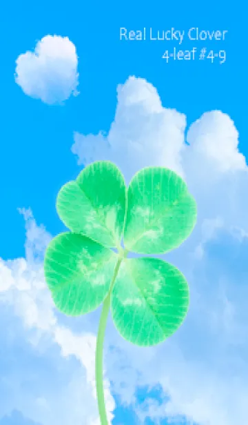 [LINE着せ替え] 本物ラッキークローバー 4-leaf #4-9の画像1