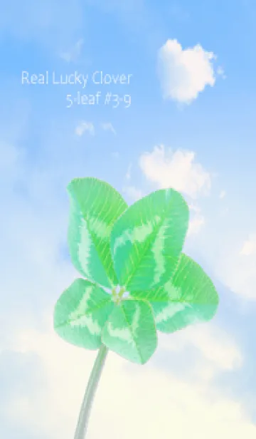 [LINE着せ替え] 本物ラッキークローバー 5-leaf #3-9の画像1