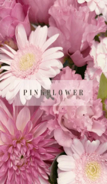 [LINE着せ替え] PINK FLOWER -NATURAL-70の画像1