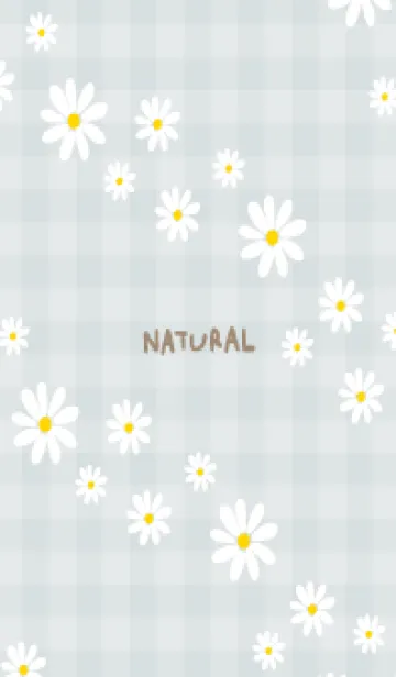 [LINE着せ替え] デイジー 斜め3の画像1