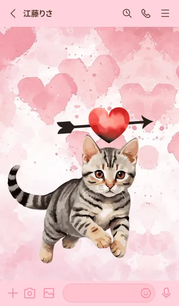 [LINE着せ替え] American Shorthair InLove Theme 2 (JP)の画像2