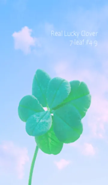 [LINE着せ替え] 本物ラッキークローバー 7-leaf #4-9の画像1