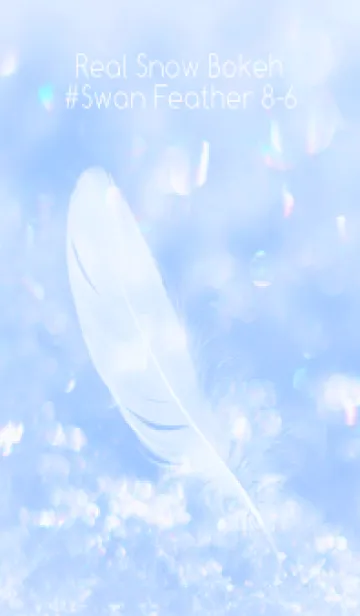 [LINE着せ替え] Real Snow Bokeh #Swan Feather 8-6の画像1