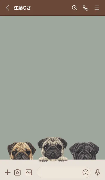 [LINE着せ替え] ワンワン！ - パグ - グリーングレーの画像2