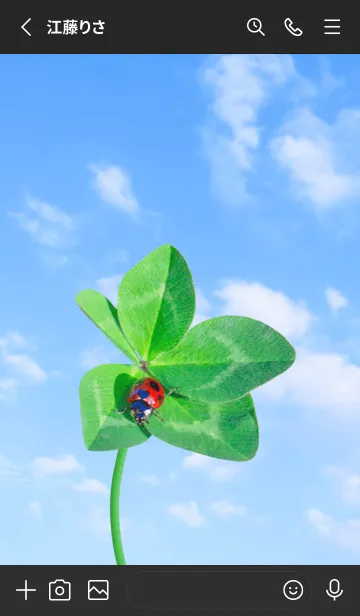 [LINE着せ替え] 本物ラッキークローバー & Ladybird #3-9の画像2