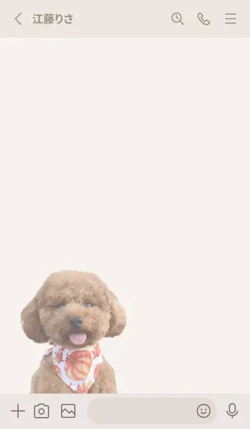 [LINE着せ替え] 目に優しい色☆癒しのトイプードルの画像2