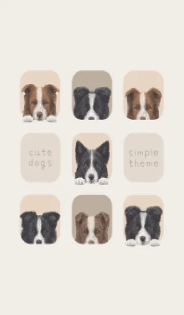 [LINE着せ替え] DOGS - ボーダーコリー - ベージュグレーの画像1