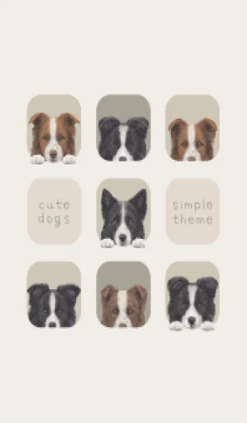 [LINE着せ替え] DOGS - ボーダーコリー - グリーングレーの画像1